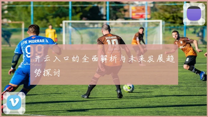 开云入口的全面解析与未来发展趋势探讨