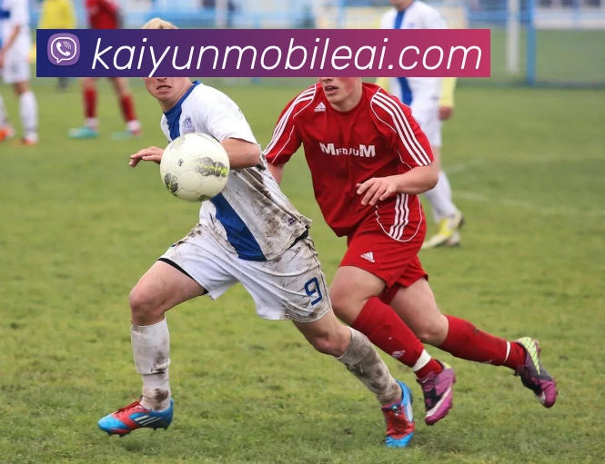 开云平台展示图