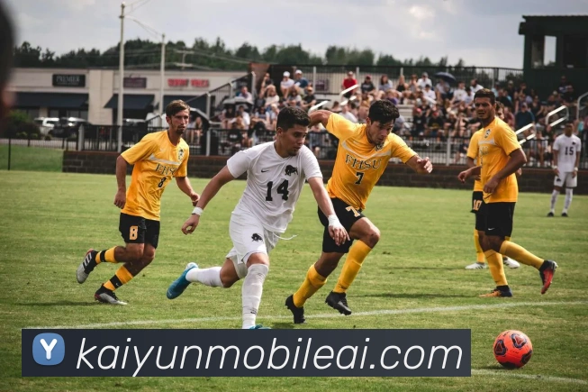 开云娱乐网站打造全新娱乐体验 探索无限精彩互动世界